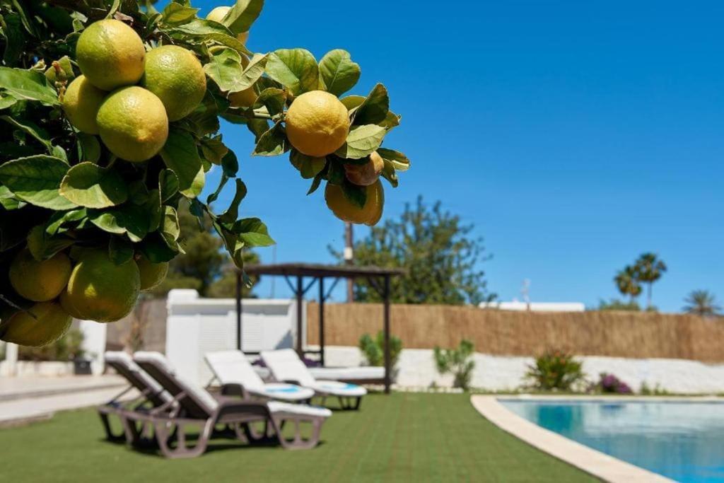 The Lovely Villa Ibiza Kültér fotó